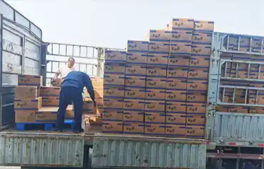 말라탕(매운 냄비) 국수 팬케이크가 심양의 트럭에 실리기 전에 몇 개의 검문소를 거쳐야 합니까?